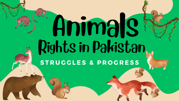 Animals Rights in Pakistan