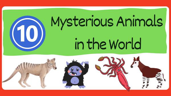 10 Mysterious Animals in the World
